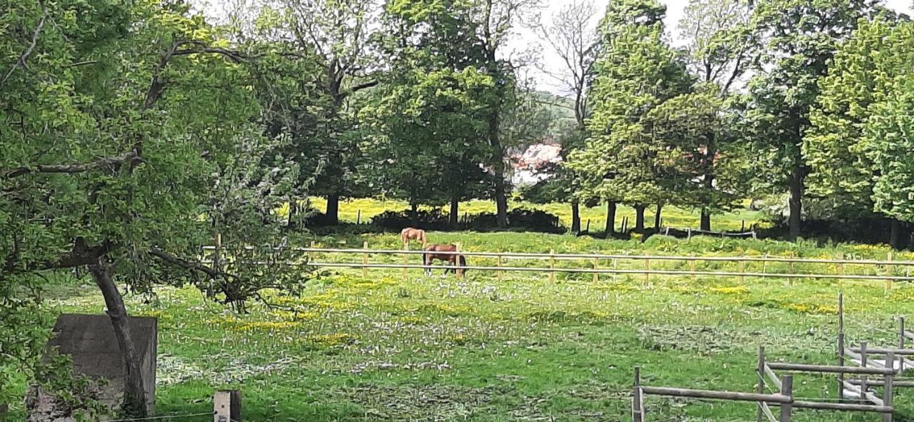 Appartamento Happiness Neufchâtel-Hardelot Esterno foto